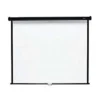 PROJECTOR SCREEN WALL MOUNT 127 by 127 cm