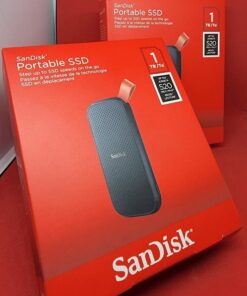 SanDisk E30 Portable External SSD 1TB